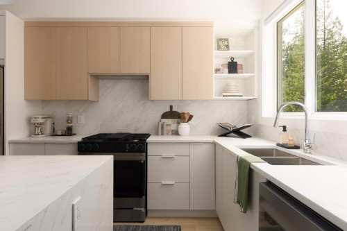 12-6887 204A Street, Langley, BC 