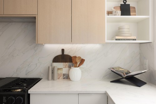 12-6887 204A Street, Langley, BC 