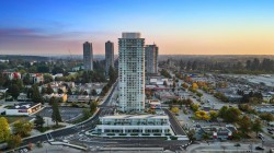 204-10225 Whalley Boulevard  Surrey, BC V3T 0S2