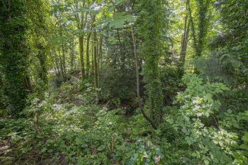 109-10308 155A Street, Surrey, BC 