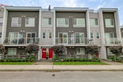 3-19628 55a Avenue  Langley, BC V3A 3X2