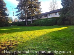 111-13880 74 Avenue  Surrey, BC V3W 7E6