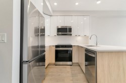 519-20061 Fraser Highway  Langley, BC V3A 4E4