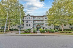 204-2435 Center Street  Abbotsford, BC V2T 2N4