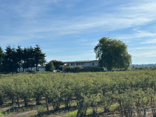 32702 Harris Road, Abbotsford, BC 