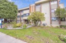 307-1320 Fir Street, White Rock, BC 