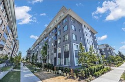 302-15825 85 Avenue  Surrey, BC V4N 6W9