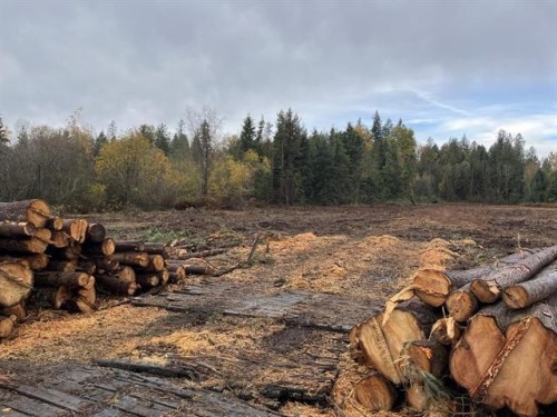 8295 264 Street, Langley, BC 