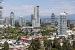 610-13778 100 Avenue  Surrey, BC V3T 0V3