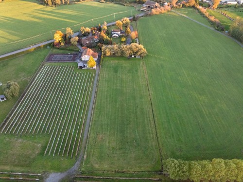 7463 216 Street, Langley, BC 