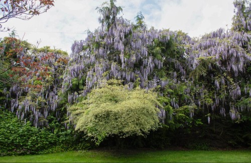 28280 Myrtle Avenue, Abbotsford, BC 
