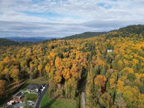 36413 Dawson Road, Abbotsford, BC 