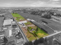 4532 272 Street  Langley, BC V4W 1N3