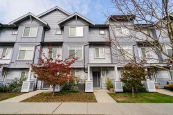 45-19239 70 Avenue  Surrey, BC V4N 6S8