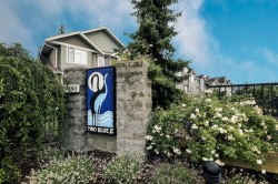 50-19480 66 Avenue  Surrey, BC V4N 5W7