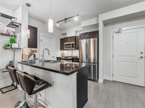 206-20062 Fraser Highway, Langley, BC 