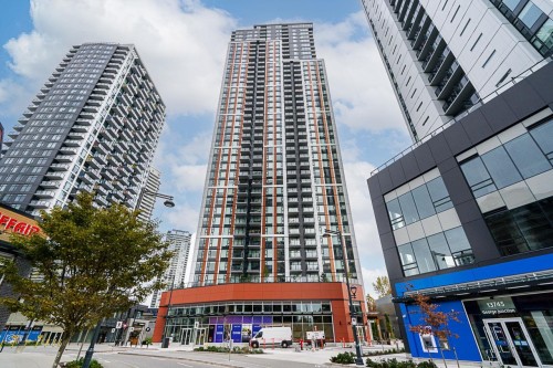 2006-13725 George Junction Road  Surrey, BC V3T 0V7