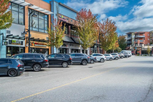 A411-7980 206A Street, Langley, BC 