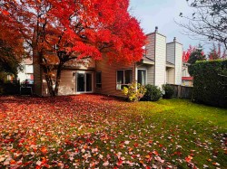 6211 Greenside Drive W Surrey, BC V3S 5M8