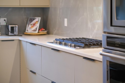 18-10488 124 Street, Surrey, BC 