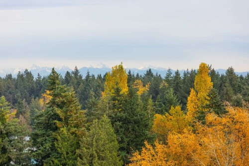 1504-13880 101 Avenue, Surrey, BC 