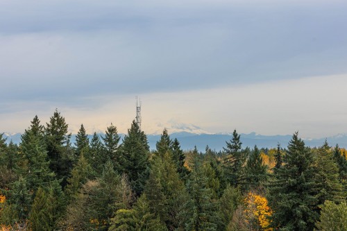 1504-13880 101 Avenue, Surrey, BC 