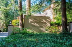 103-12749 16 Avenue  Surrey, BC V4A 1N2