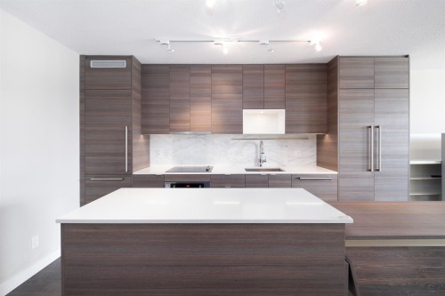 17Xx-13398 104 Avenue, Surrey, BC 