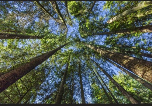 30317 Berg Avenue, Mission, BC 