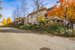 209-14993 101a Avenue  Surrey, BC V3R 0T1