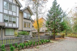 52-20038 70 Avenue  Langley, BC V2Y 0B4