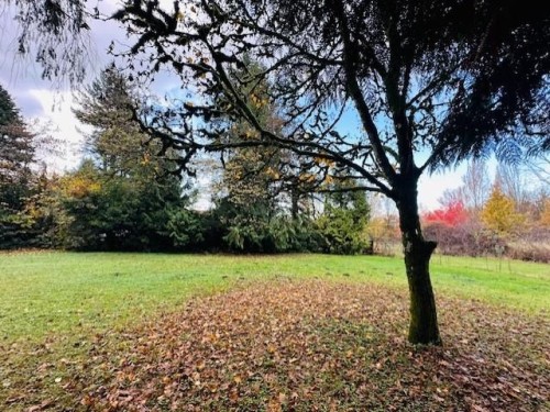 18351 74 Avenue, Surrey, BC 