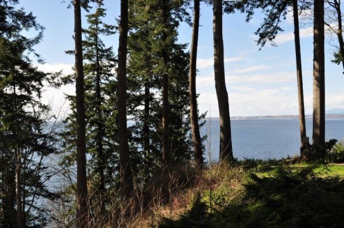 1515 126A Street, Surrey, BC 