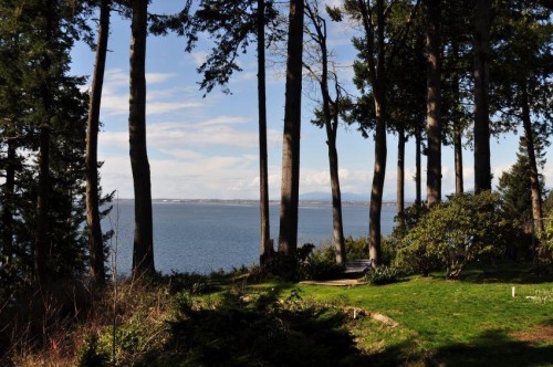 1515 126A Street, Surrey, BC 