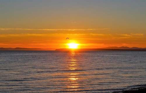 1523 126A Street, Surrey, BC 