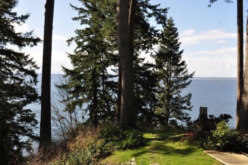 1523 126A Street, Surrey, BC 