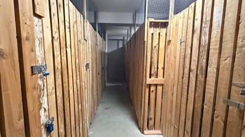 409-9979 140 Street, Surrey, BC 