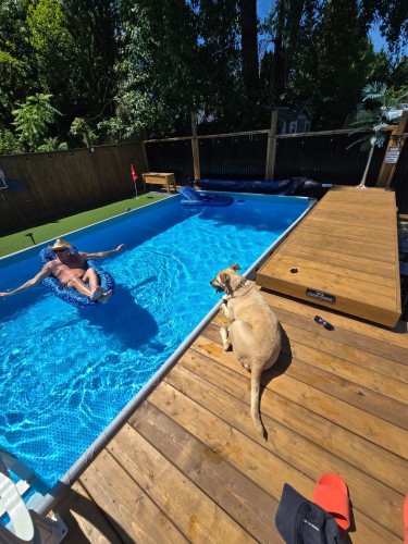 26500 32A Avenue, Langley, BC 