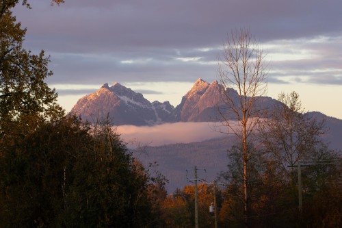 8575 240 Street, Langley, BC 