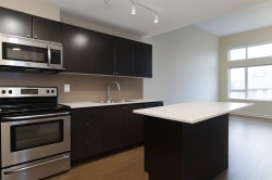 417-13740 75a Avenue  Surrey, BC V3W 0E8