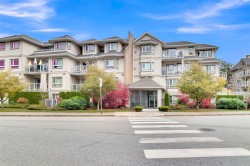 208-8142 120a Street  Surrey, BC V3W 3P3