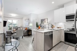 302-5486 199a Street  Langley, BC V3A 0N6