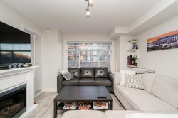 215-5650 201a Street  Langley, BC V3A 0B3