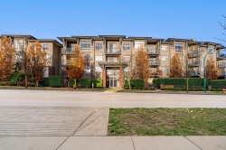 108-19201 66a Avenue  Surrey, BC V4N 6N7