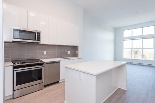 C610-8150 207 Street, Langley, BC 