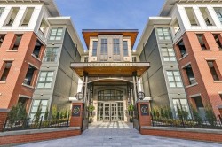 313-15138 34 Avenue  Surrey, BC V3Z 0Y5