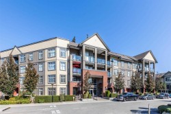 411-2855 156 Street  Surrey, BC V3Z 3Y3