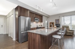 307-6450 194 Street  Surrey, BC V4N 6J8