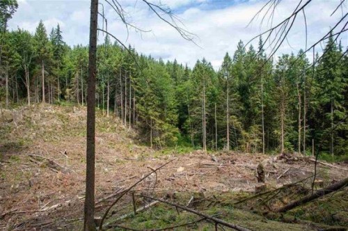 11533 Wilson Street, Mission, BC 