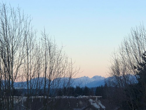 305-15150 29A Avenue, Surrey, BC 